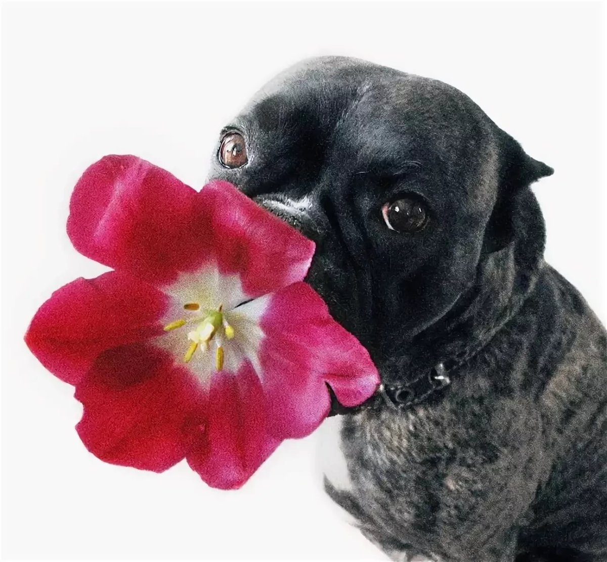 Не переживай все будет хорошо