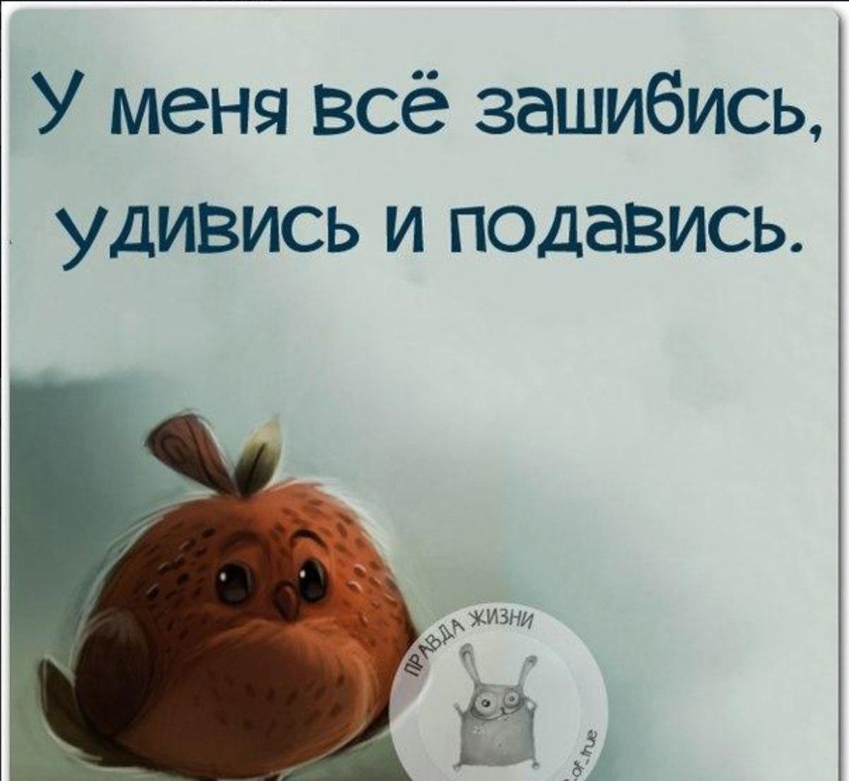 Картинки для поднятия настроения