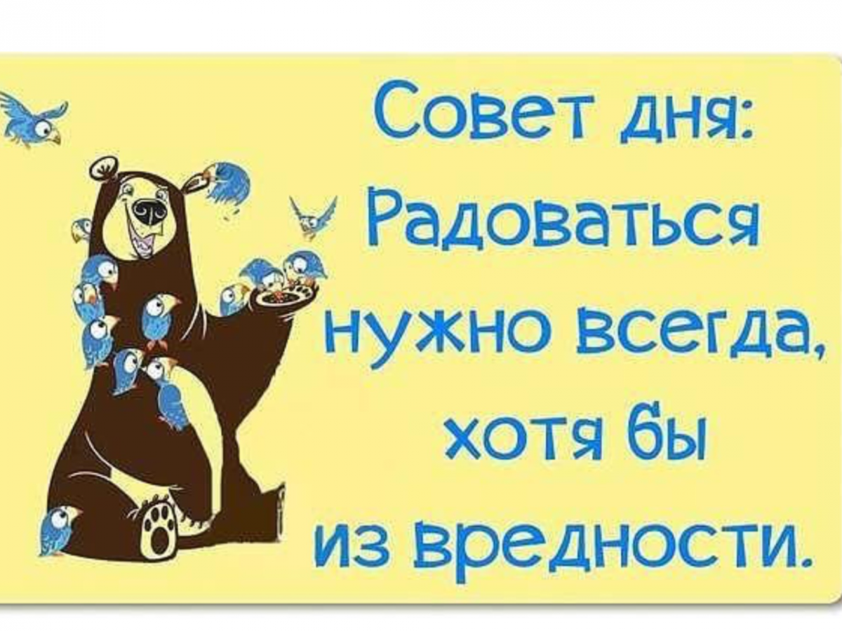 Два дебила это сила