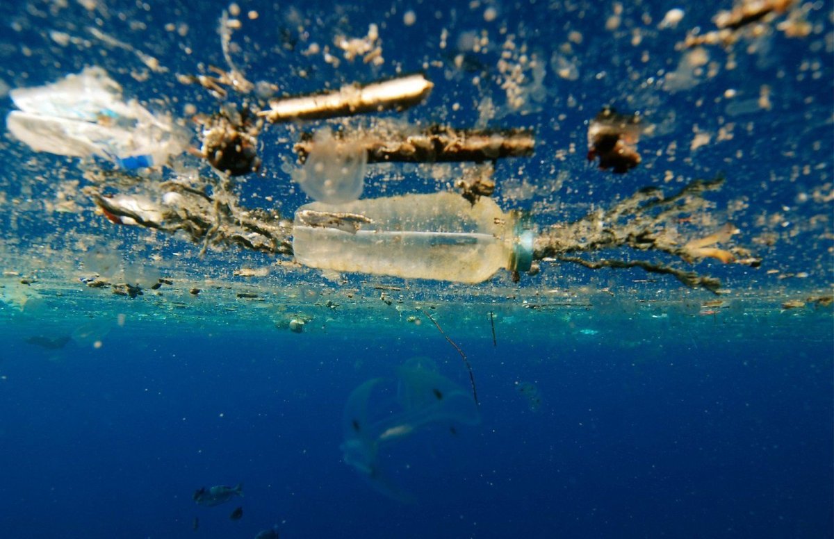 Загрязнение мирового океана