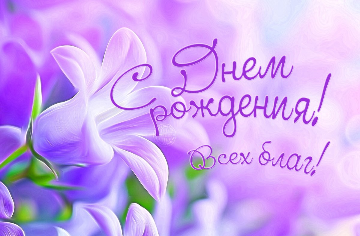 С днём рождения розы