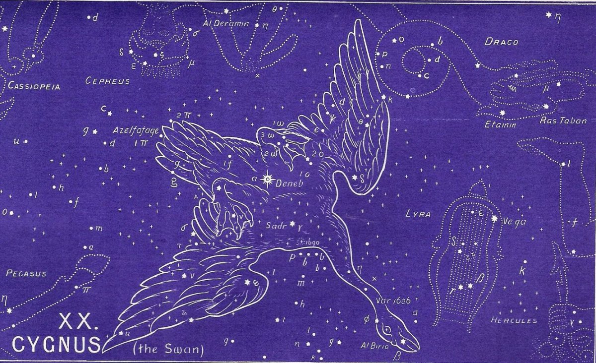 Изображение созвездия лебедь