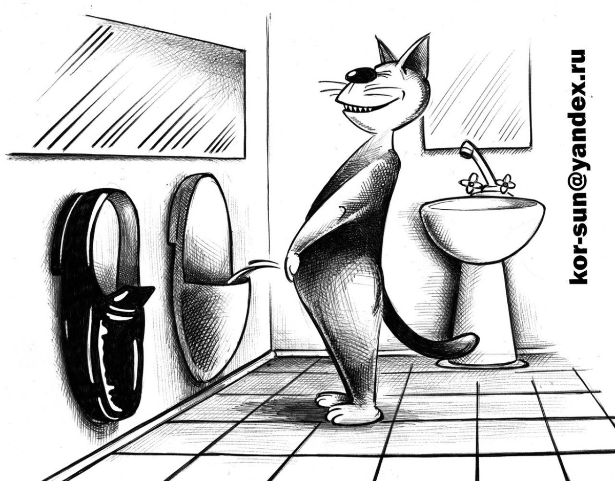 Карикатуры смешные