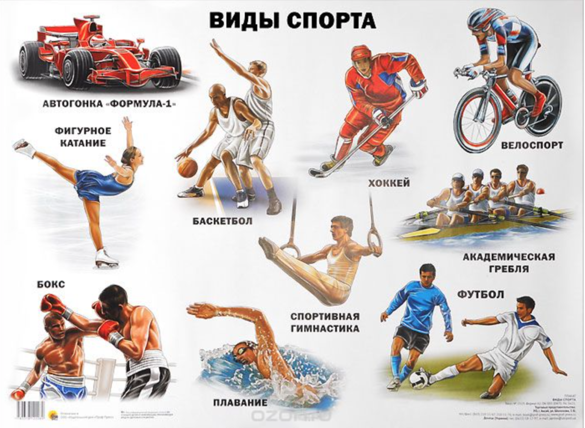 Спортивные увлечения