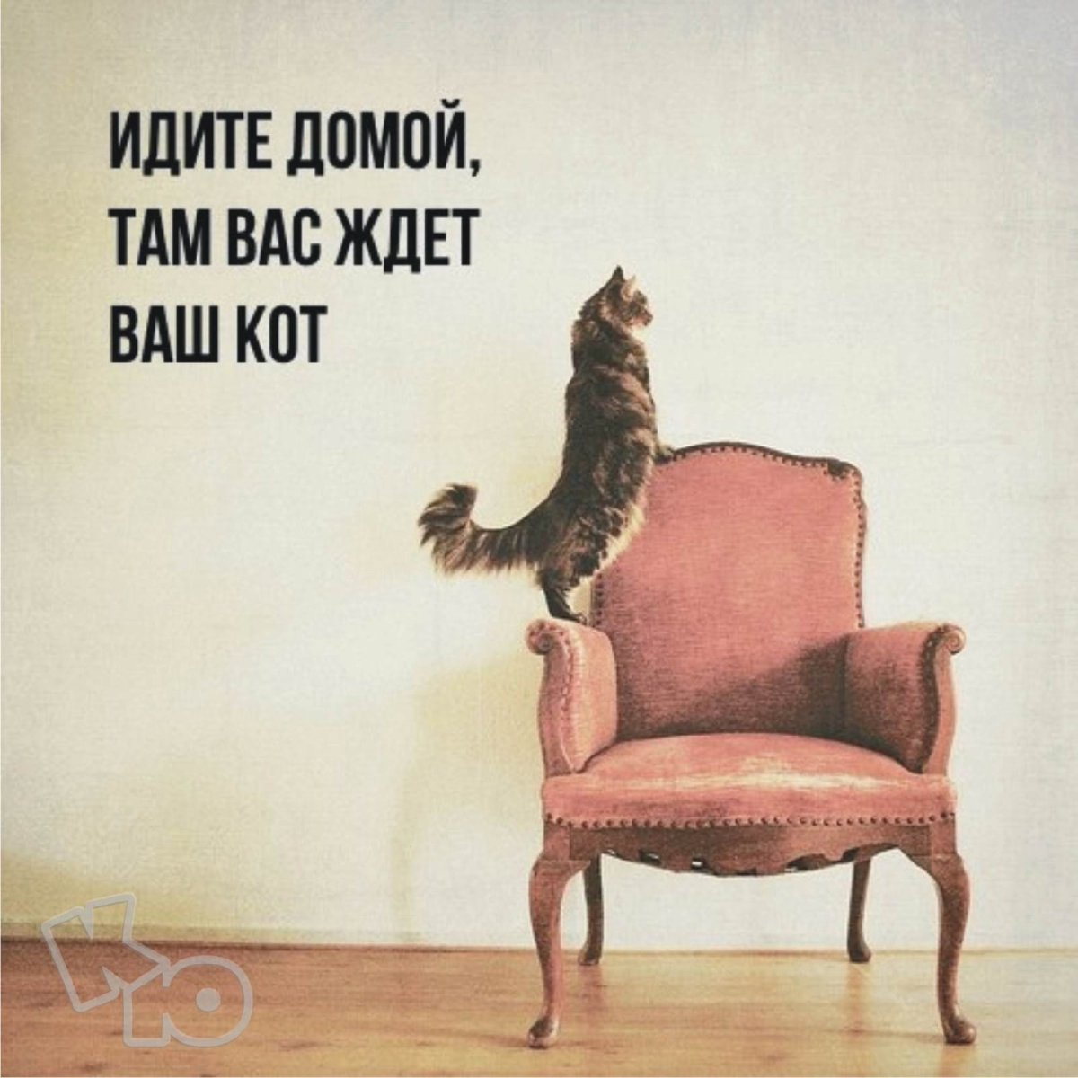 Пошли домой