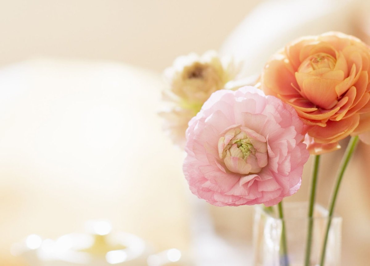 Стильное поздравление с днем рождения