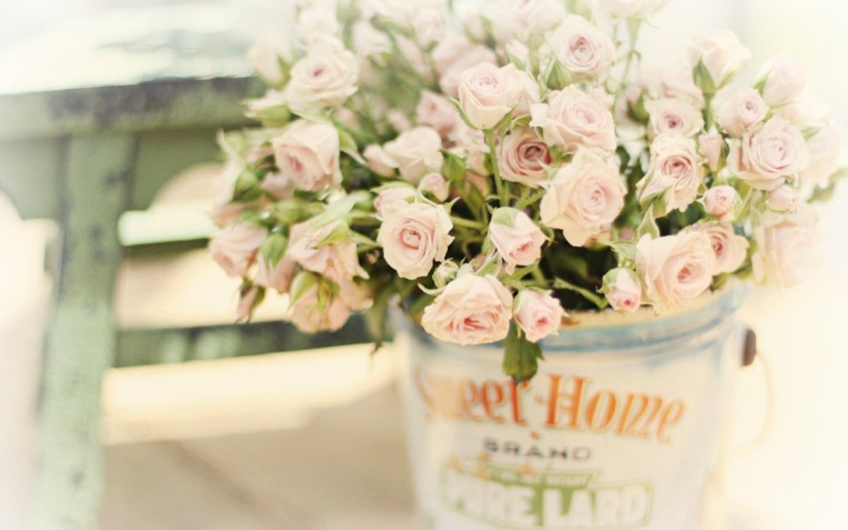 Открытки с днём рождения с нежными цветами