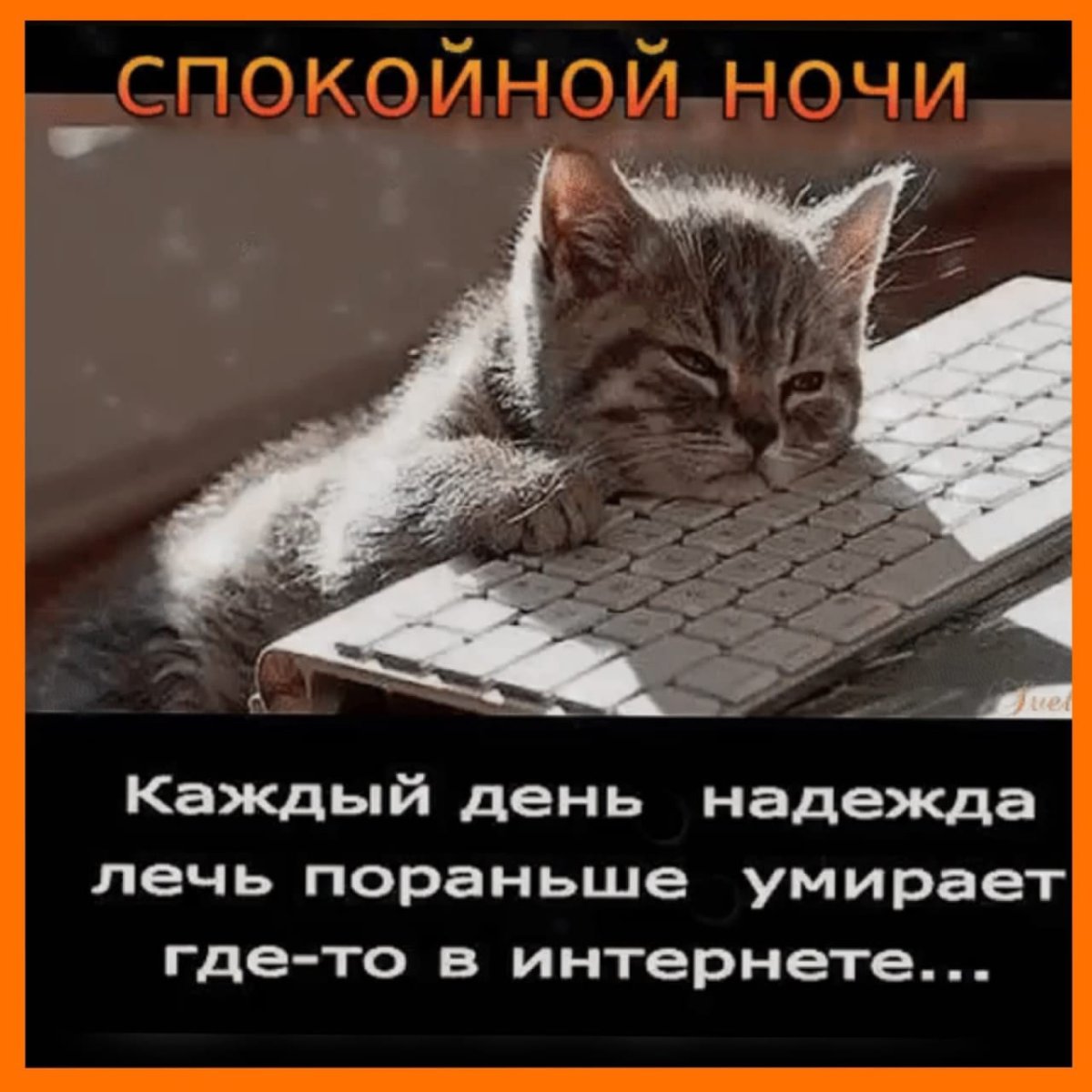 Выключай интернет и ложись спать