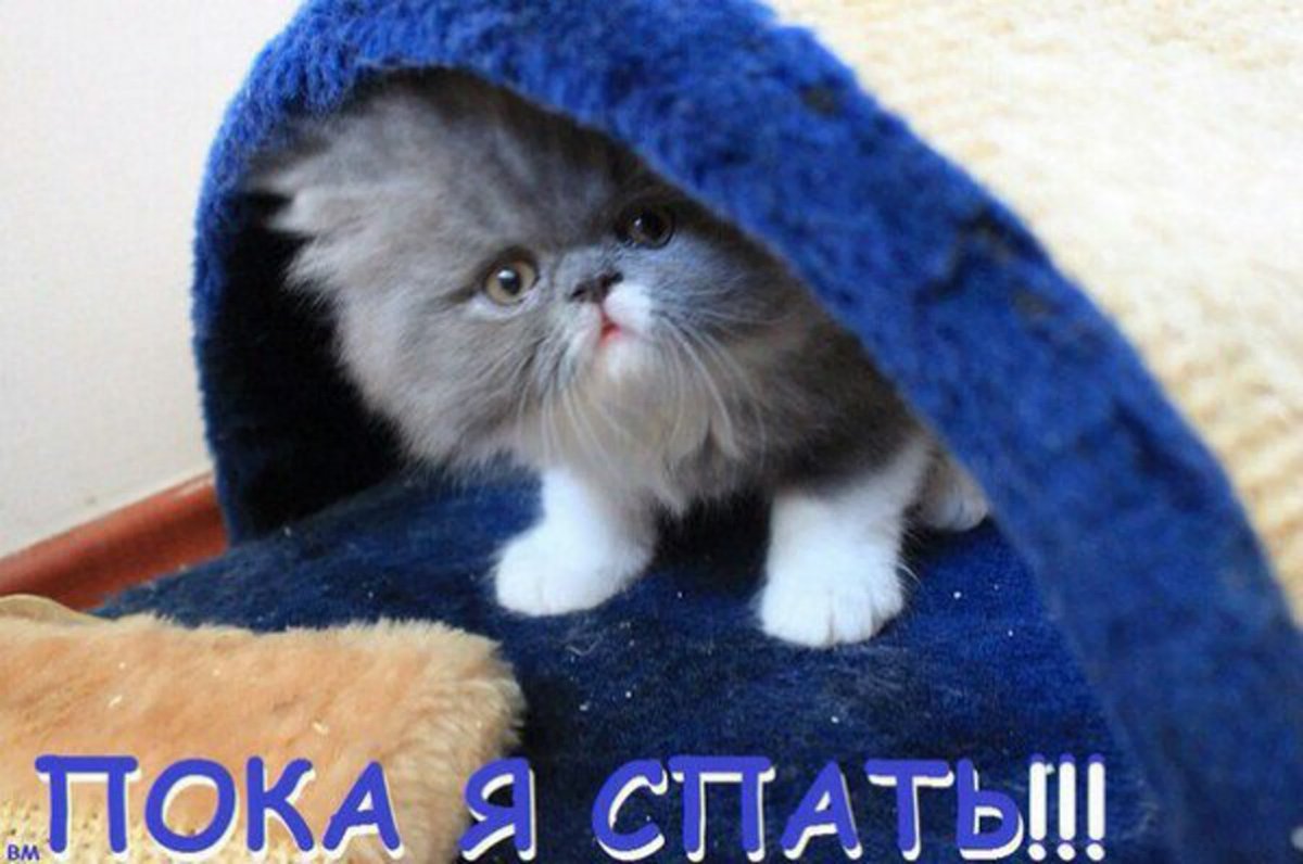 Я спать спокойной ночи