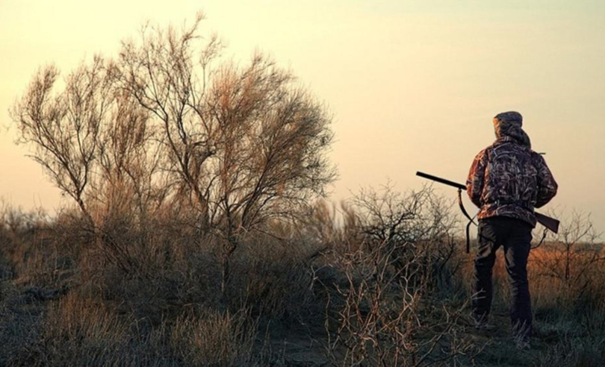 Охота удивительное фото