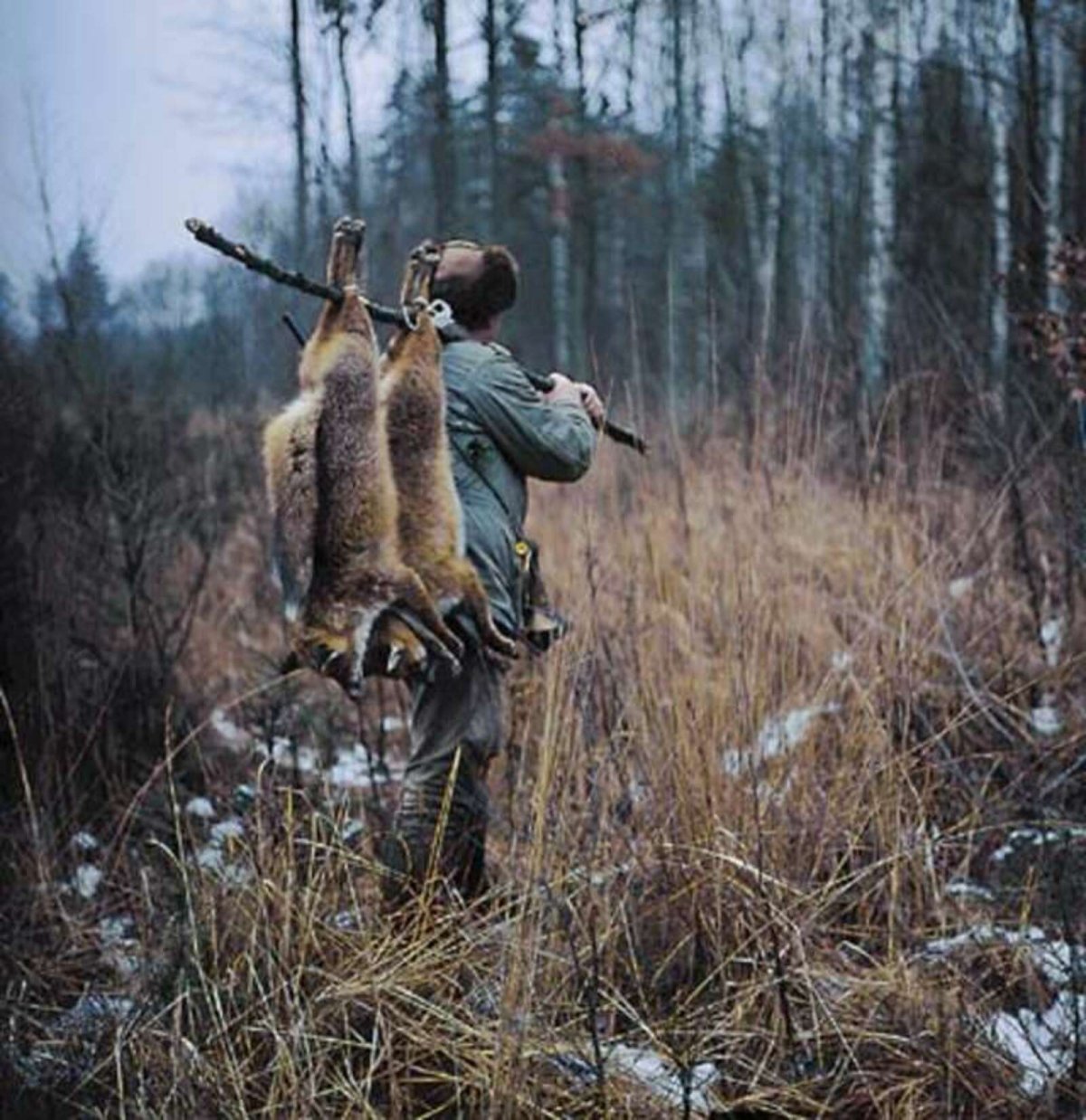 Охота в лесу