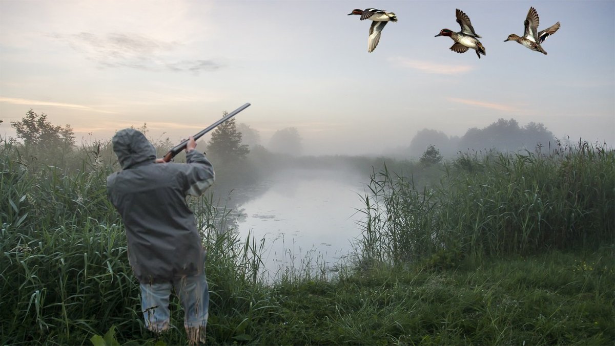 Бушкрафт охота