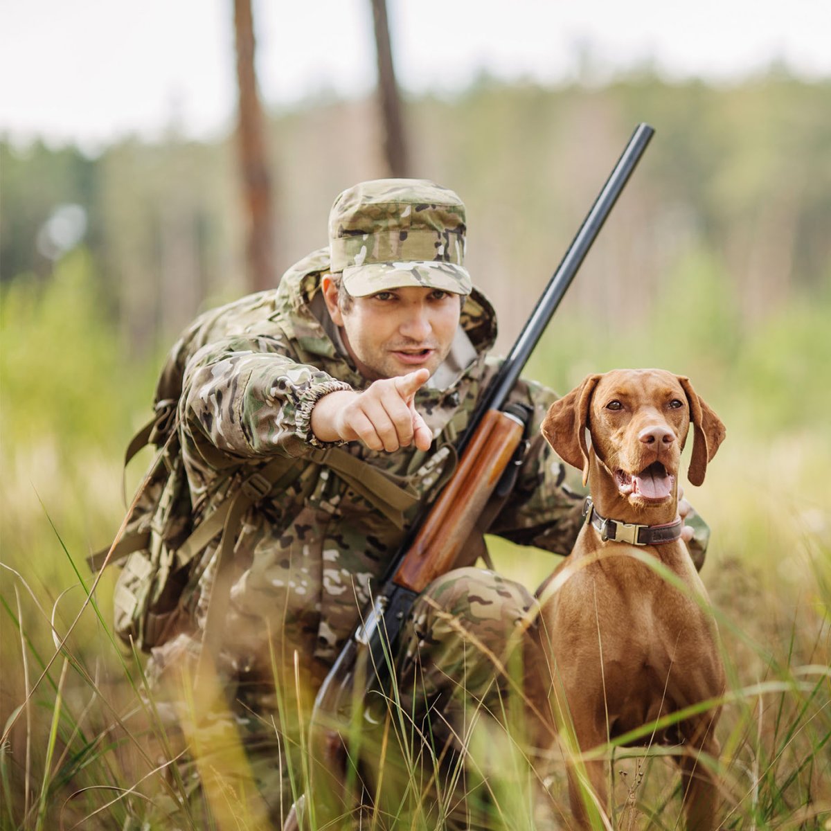 Охотничий штуцер Holland & Holland
