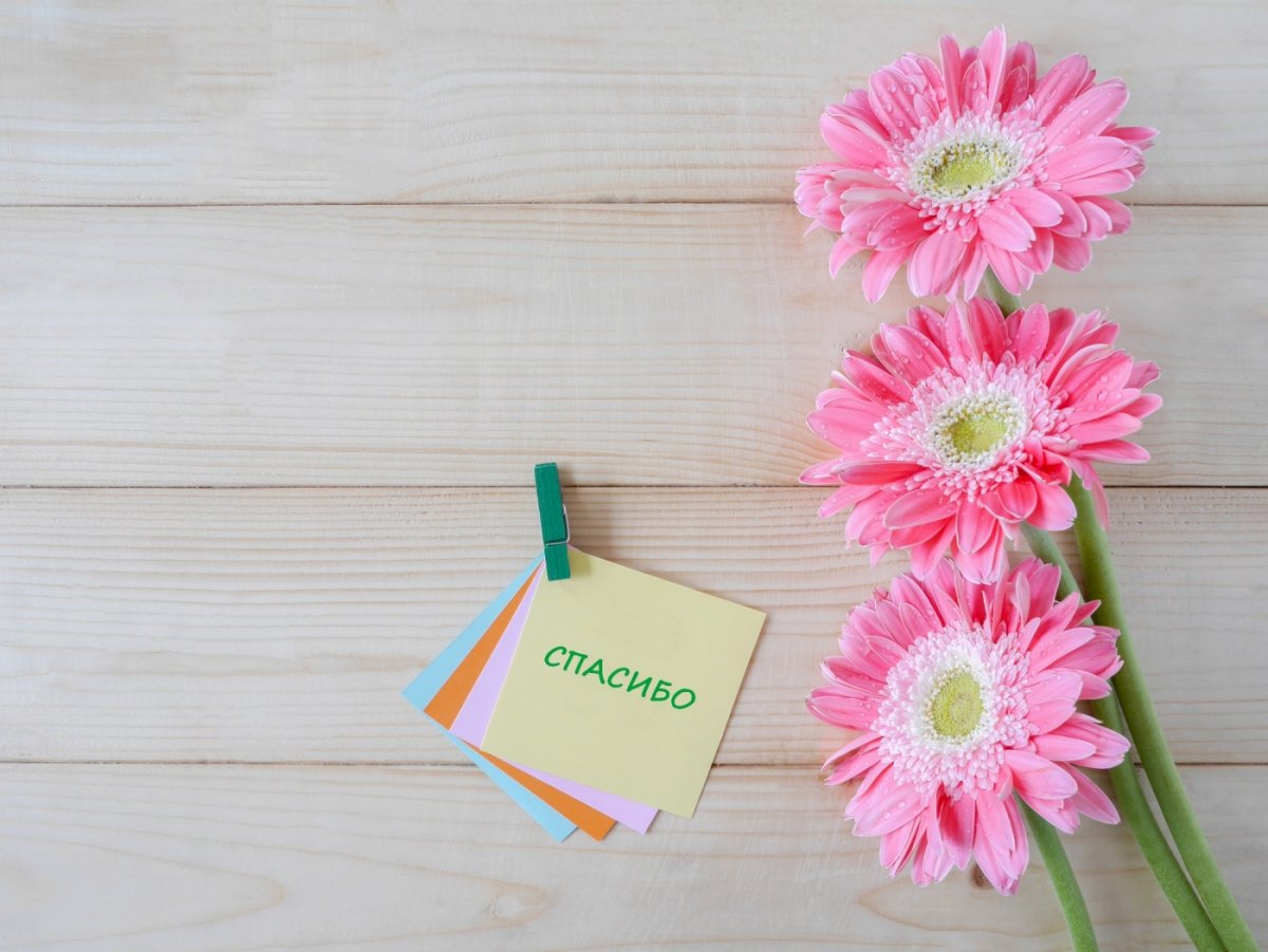 Спасибо картинки