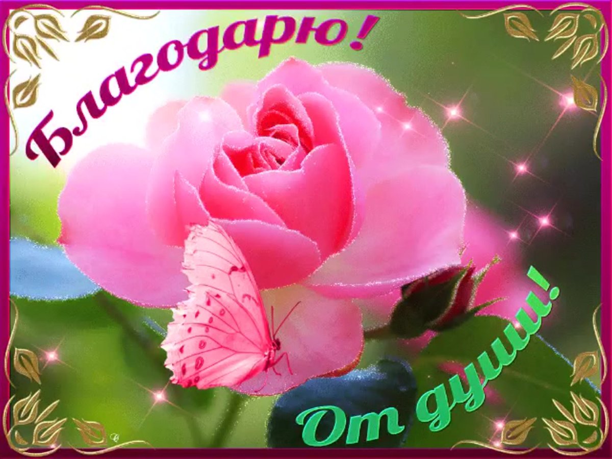 Спасибо девочки за поздравления