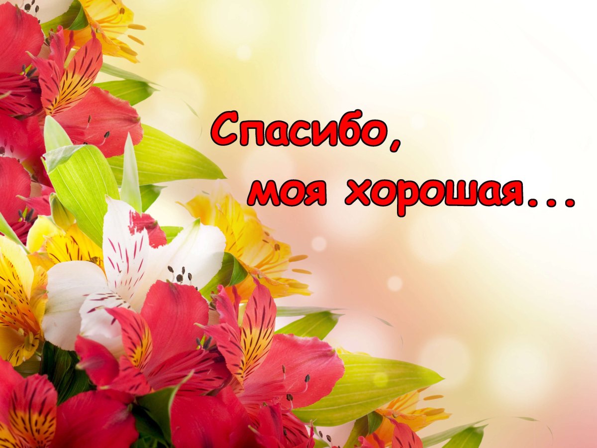 Благодарю за поздравления