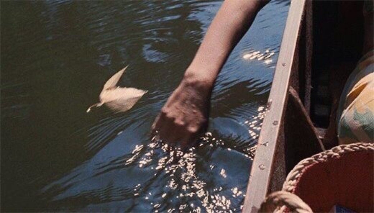 Купол для рыб