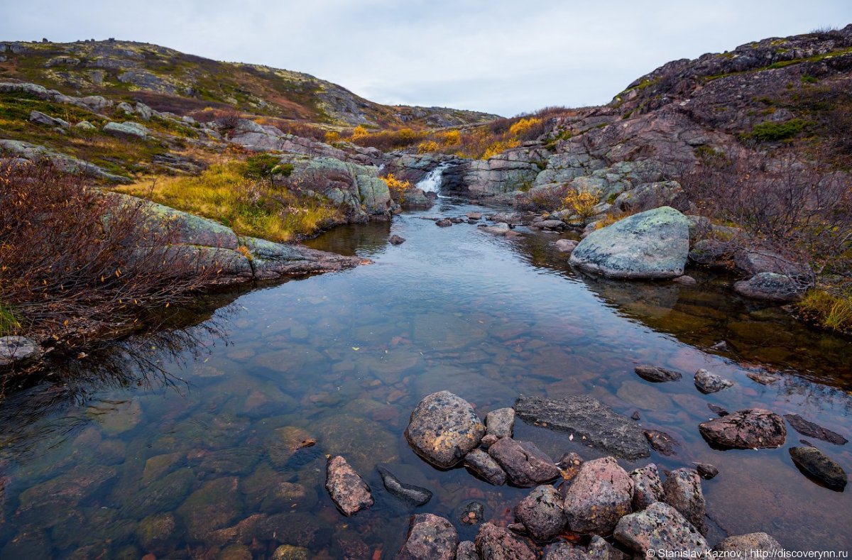 Тундра Мурманск Териберка