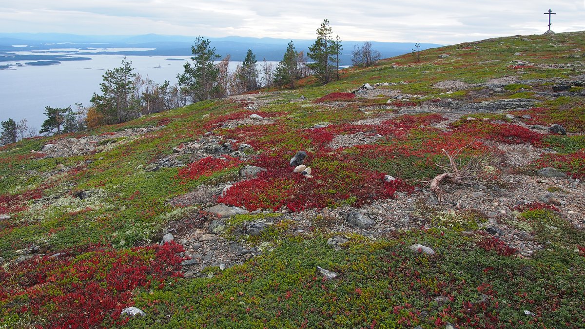 Сопки, тундра Кольский полуостров