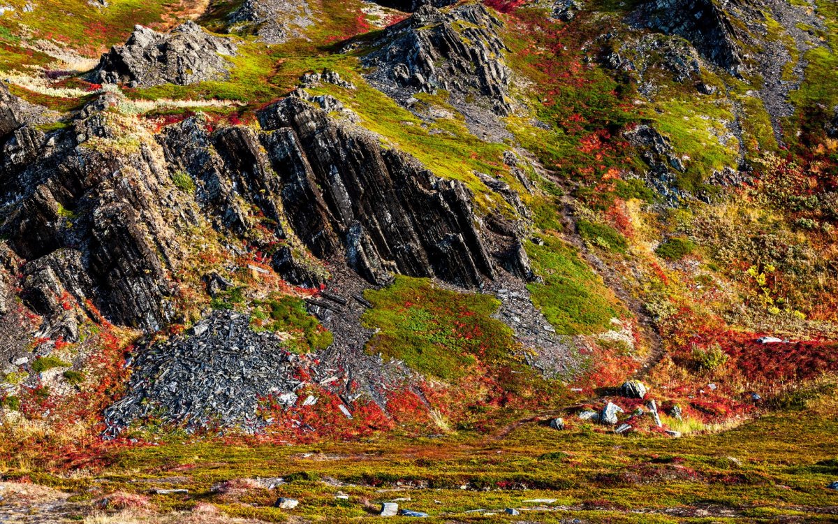 Кольский полуостров осень