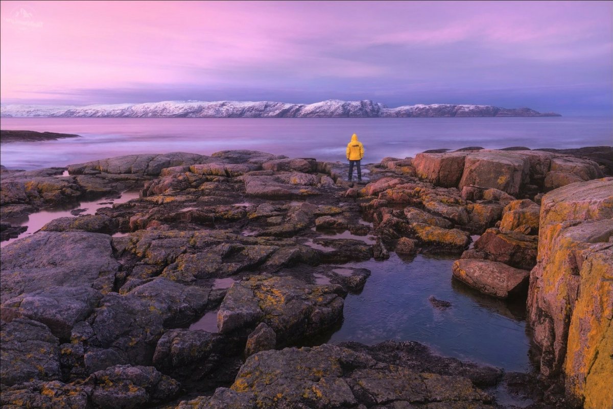 Баренцево море Кольский полуостров