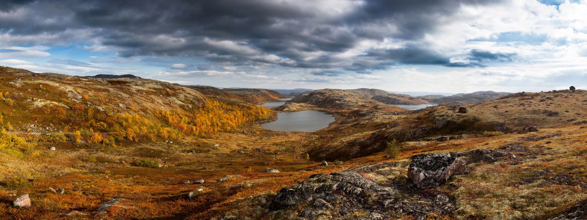 Осенняя тундра Кольский полуостров Гремиха