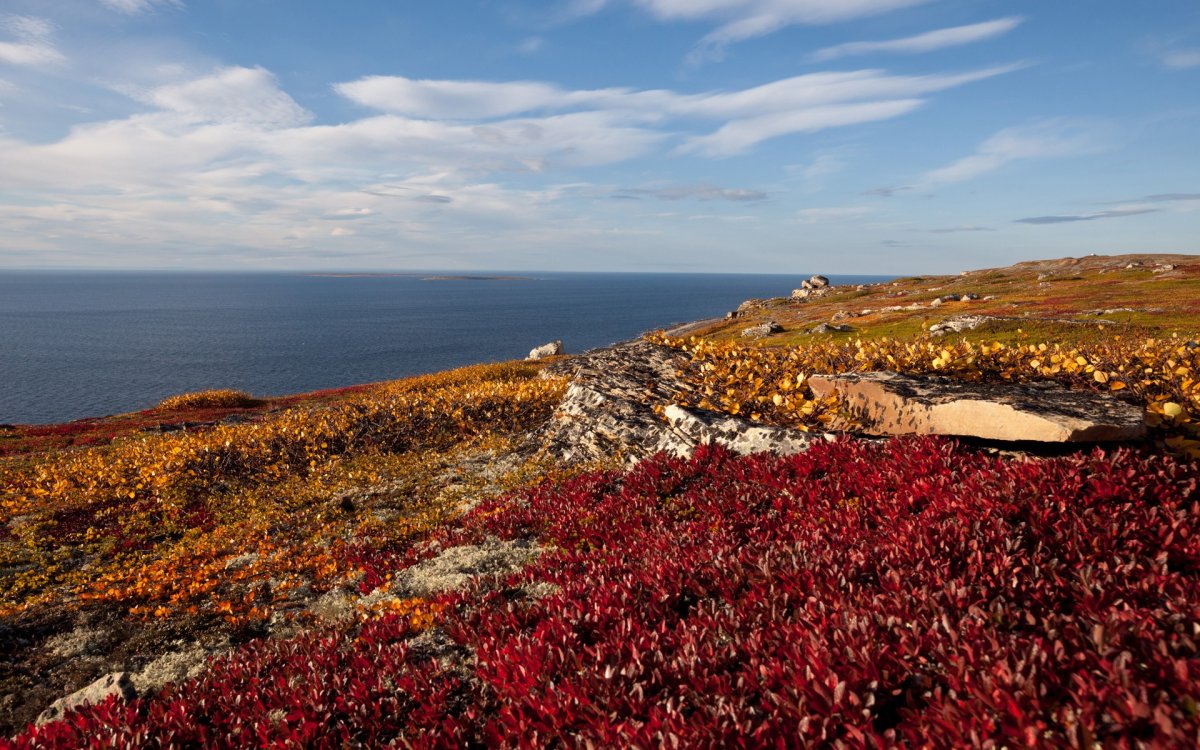 Полуостров Рыбачий осень
