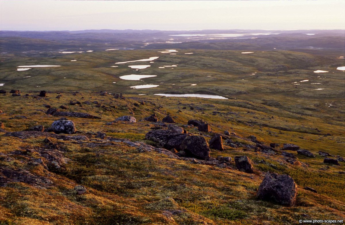 Моренные холмы Кольского полуострова