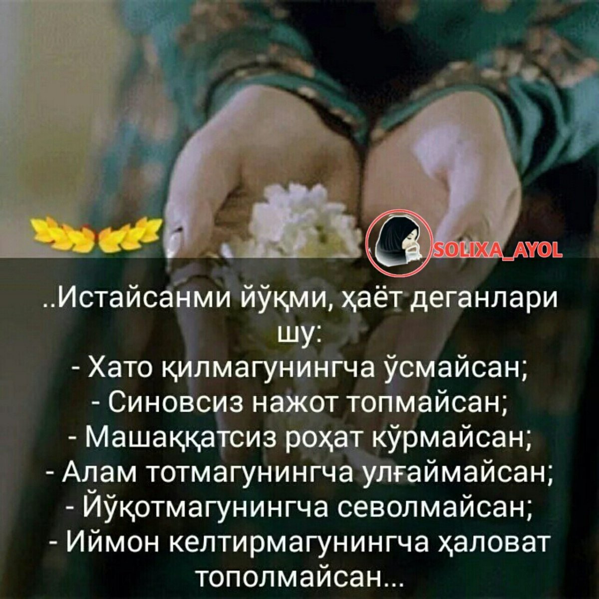 Статус шерлар