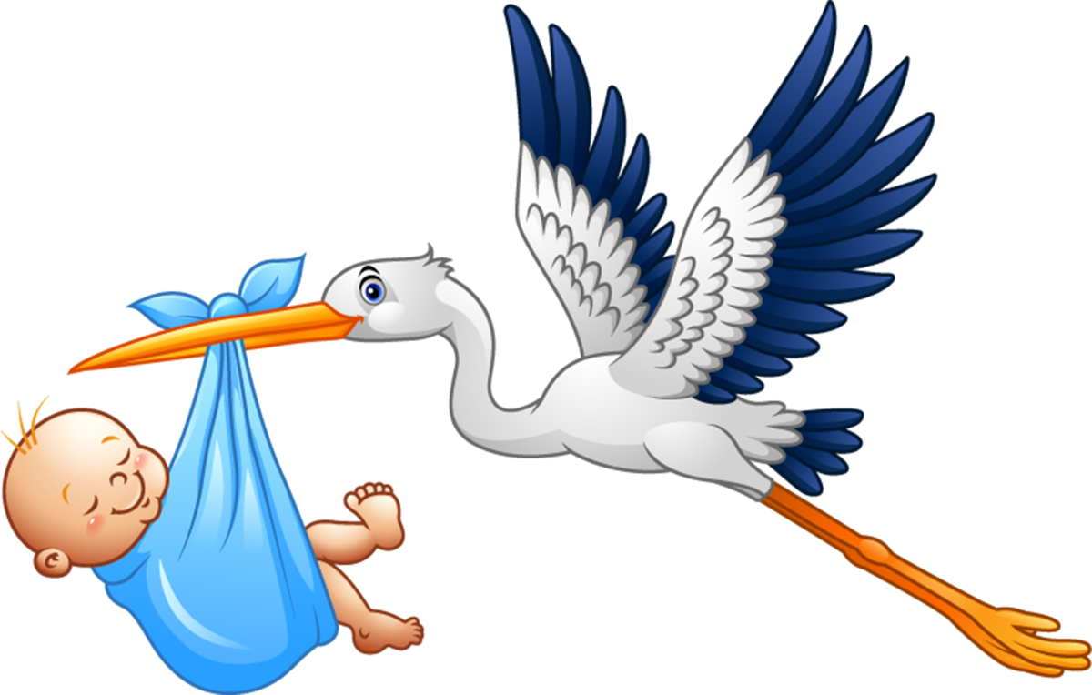 Аист с малышом