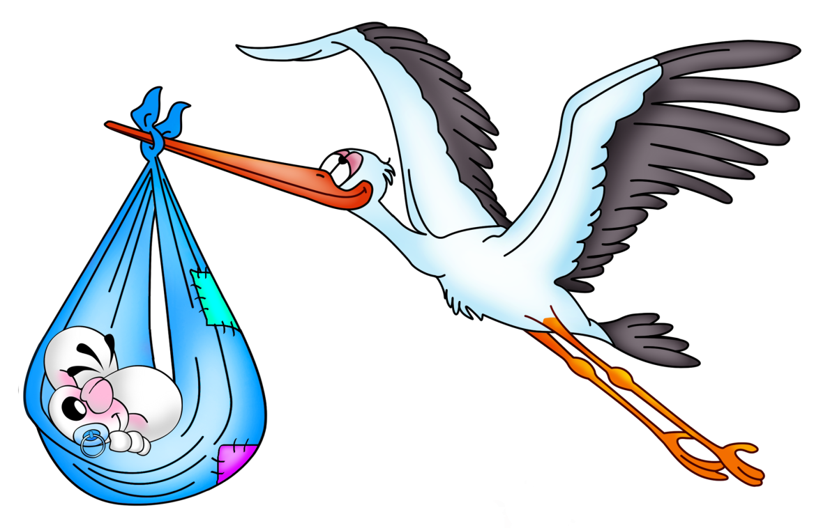 Аист с ребенком