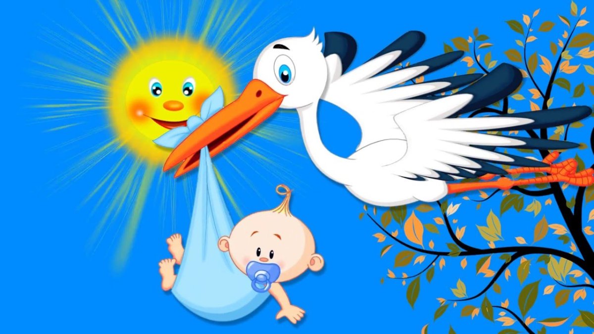 Аист с малышом