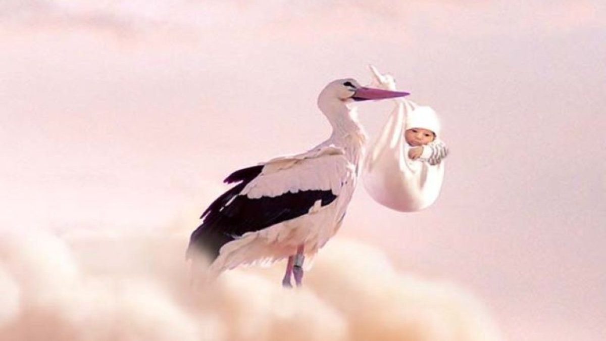 Бабушка скоро буду Аист