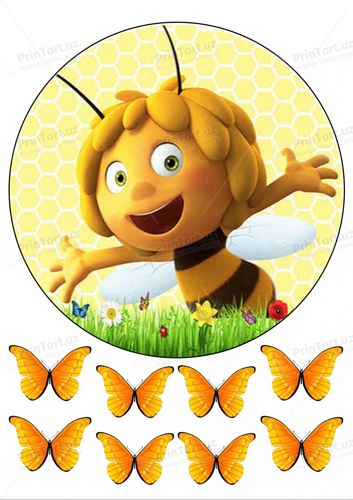 Герои мультика Пчелка Майя