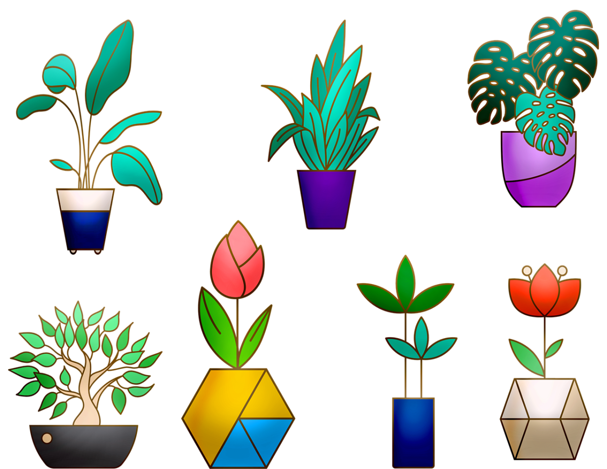 Цветы в горшках референсы