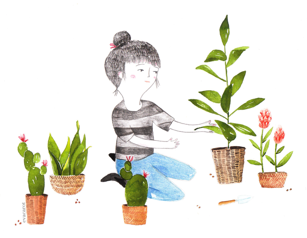 Картинки с комнатными растениями для детского сада. Комнатные растения иллюстрации. Комнатное растение рисунок. Комнатные растения для дошкольников. Иллюстрации комнатных растений для детей.