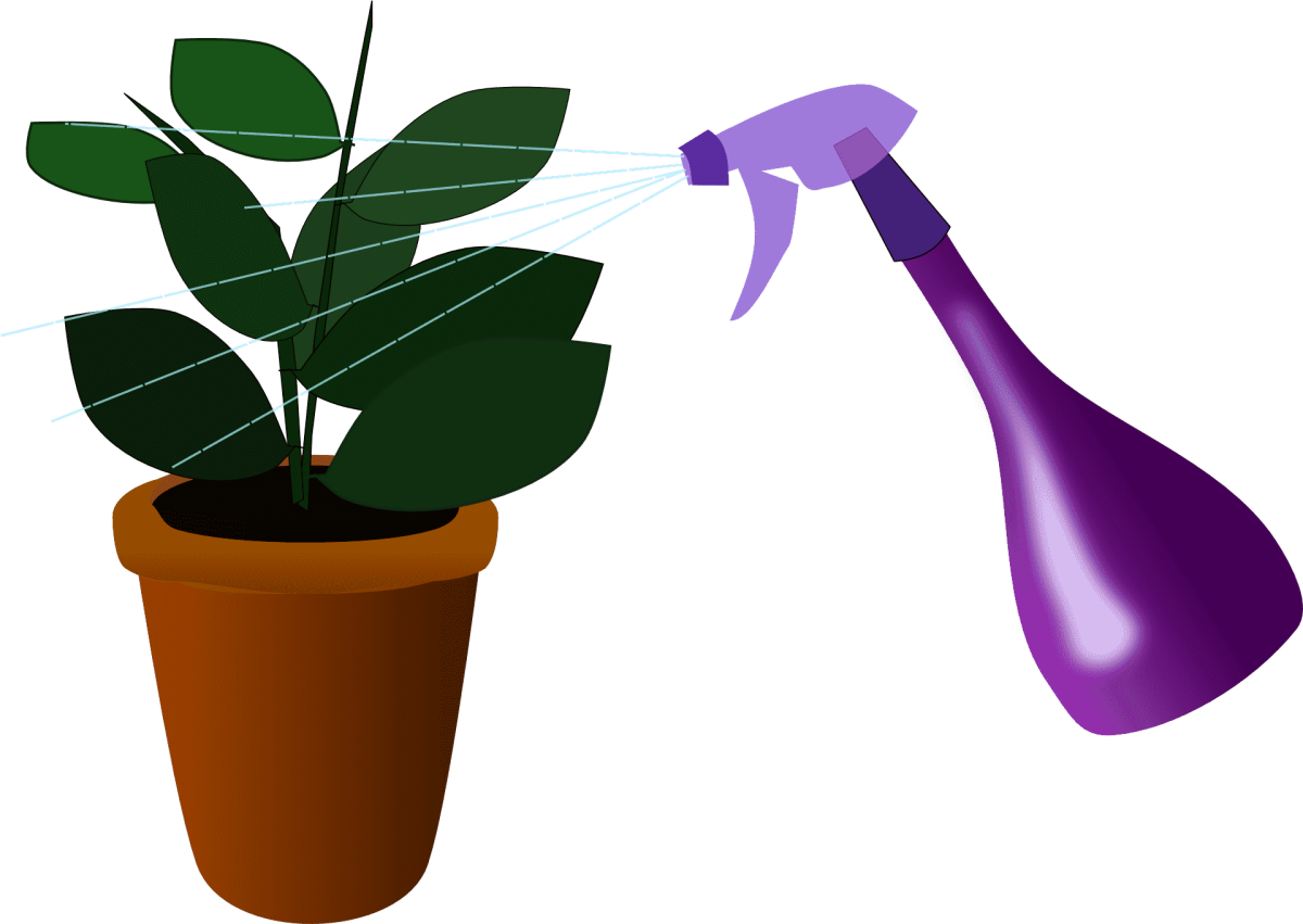 Комнатные растения и уход за ними демонстрационный материал