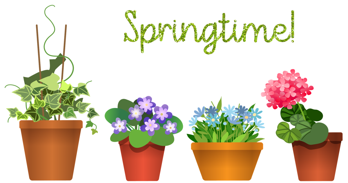 Растения в горшке эскиз