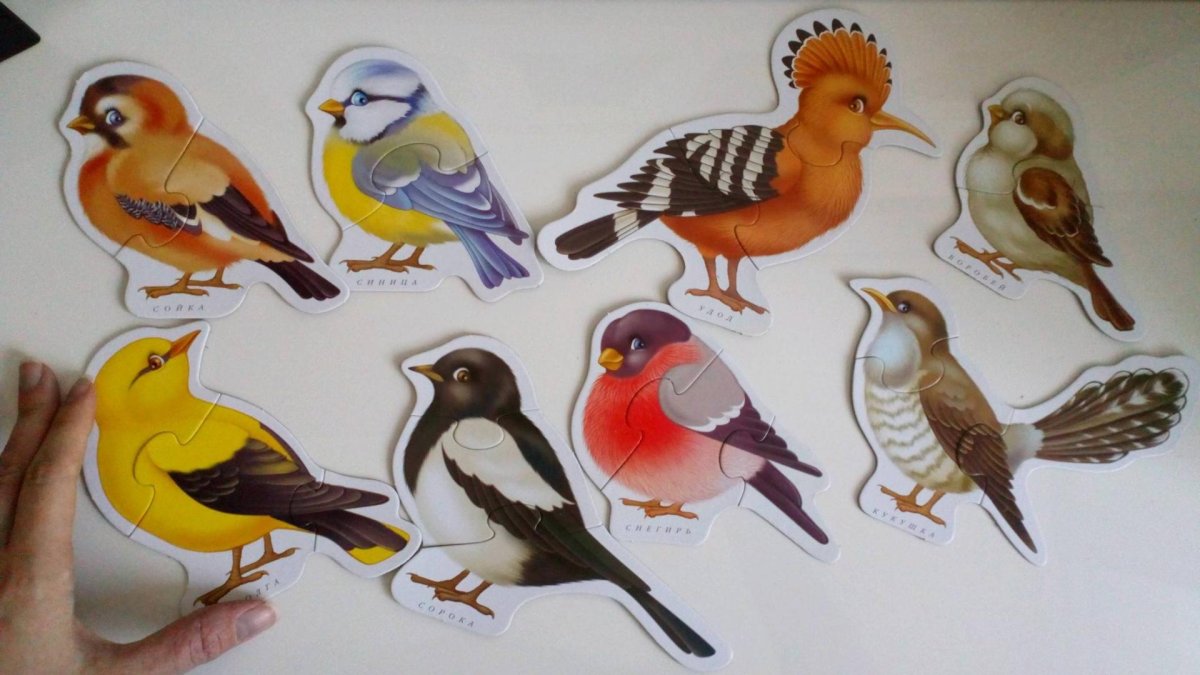 Птицы для вырезания для дошкольников