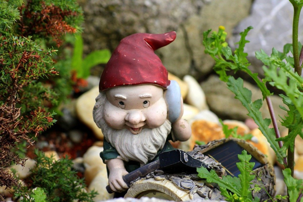 Про гномиков