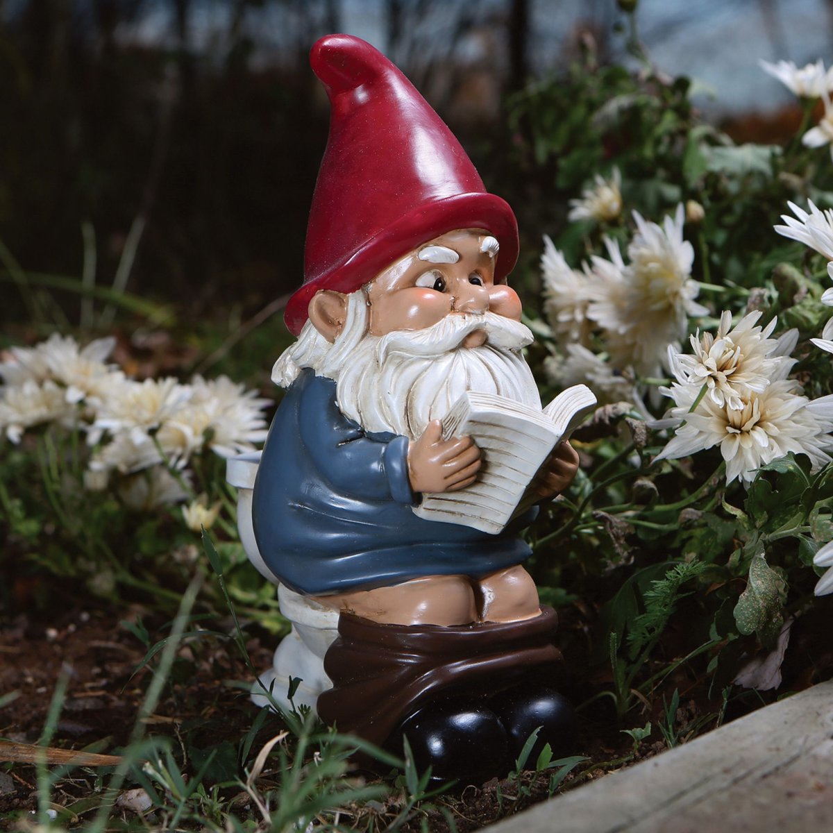 Гном Гарден