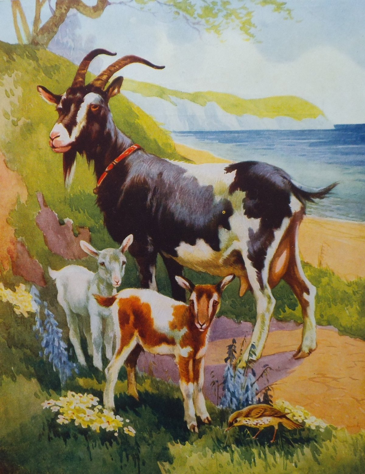 Коза с козлятами картина для детей