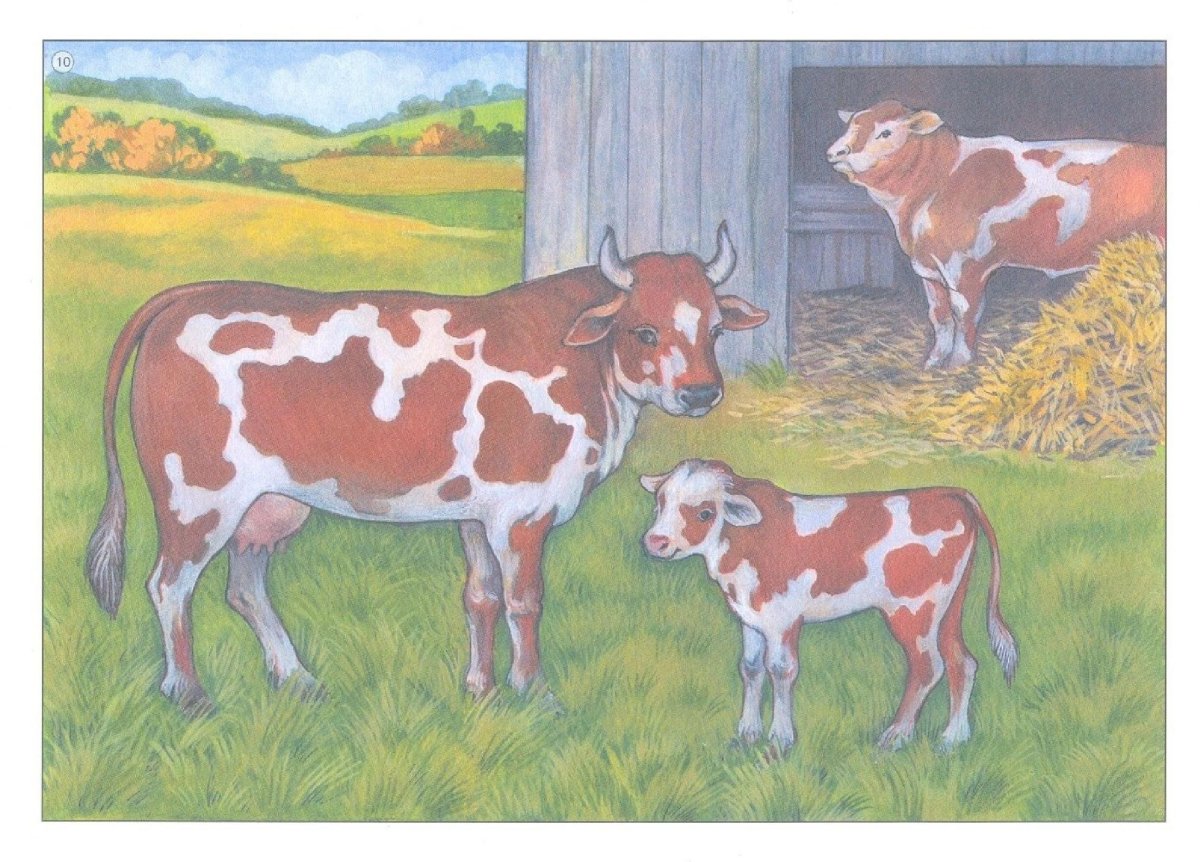 Фотосессия с козленком на природе