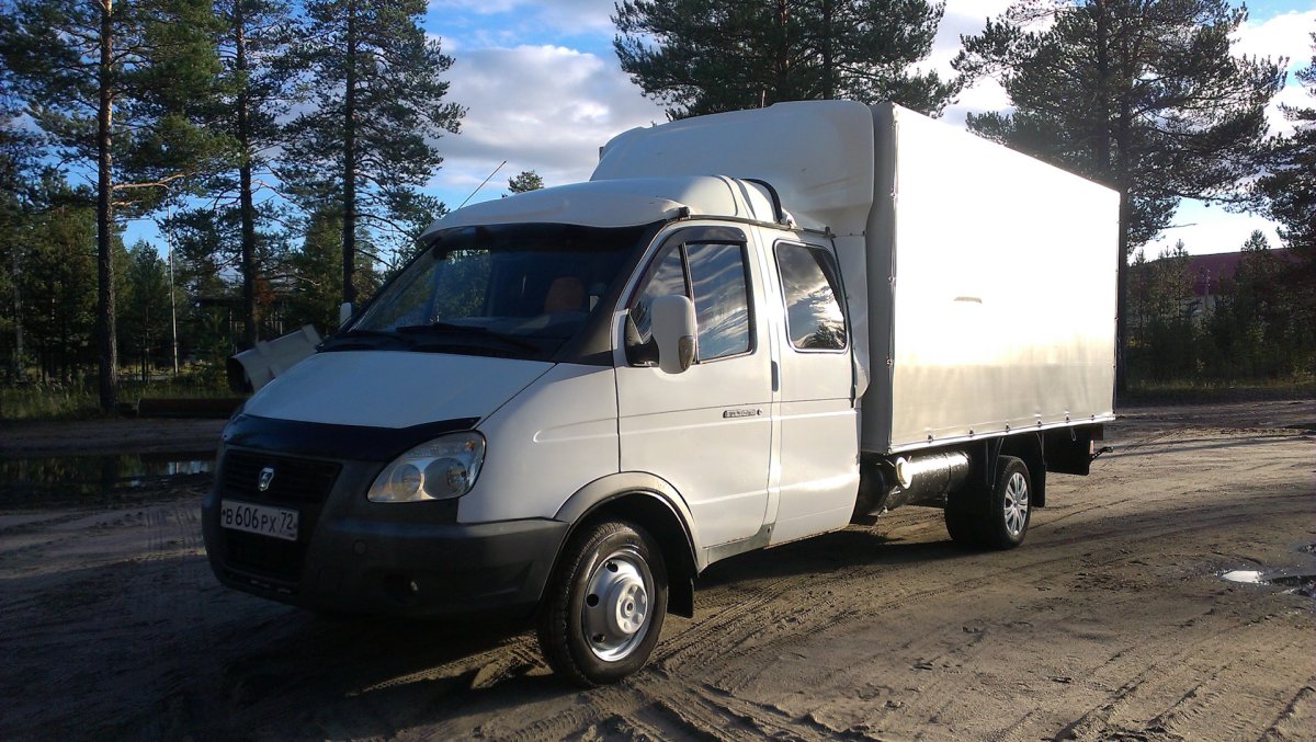 ГАЗ Газель 3009d0