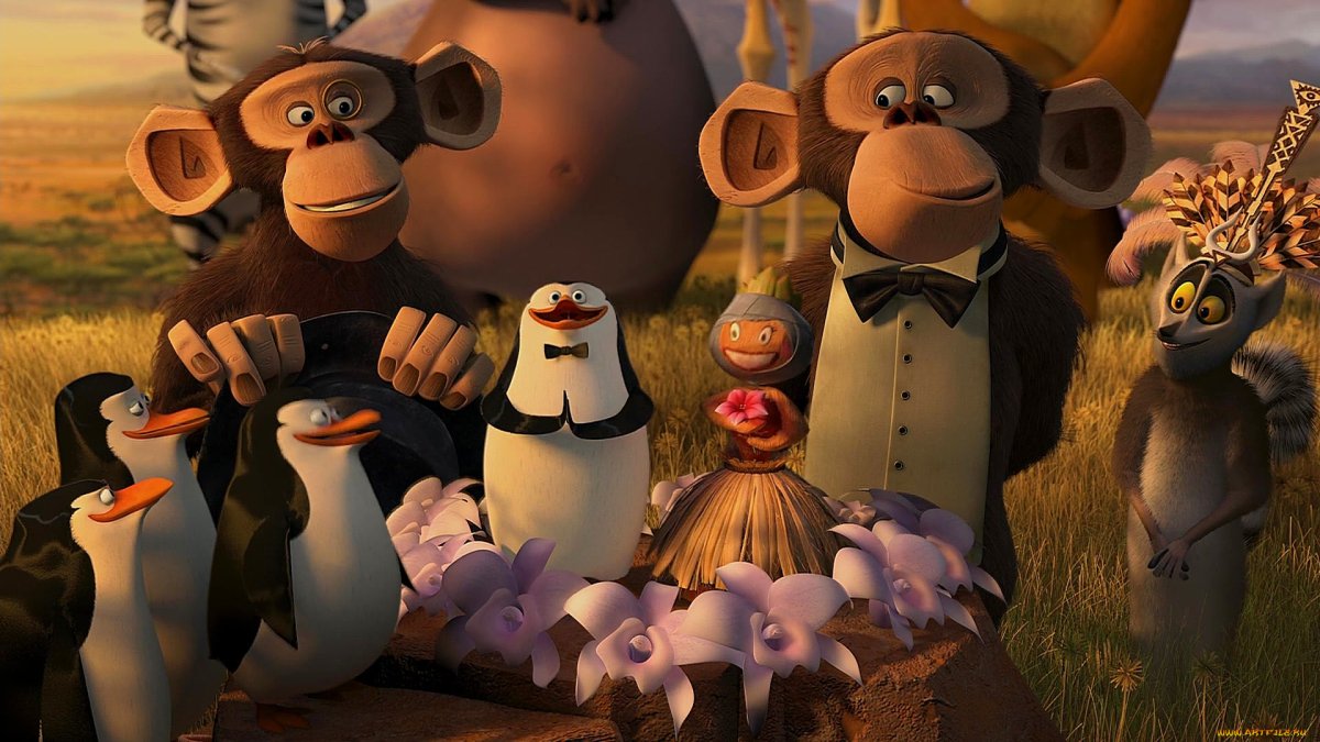 Мультфильм Мадагаскар мартышки