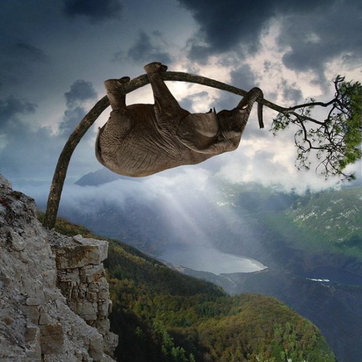 Слон дерево