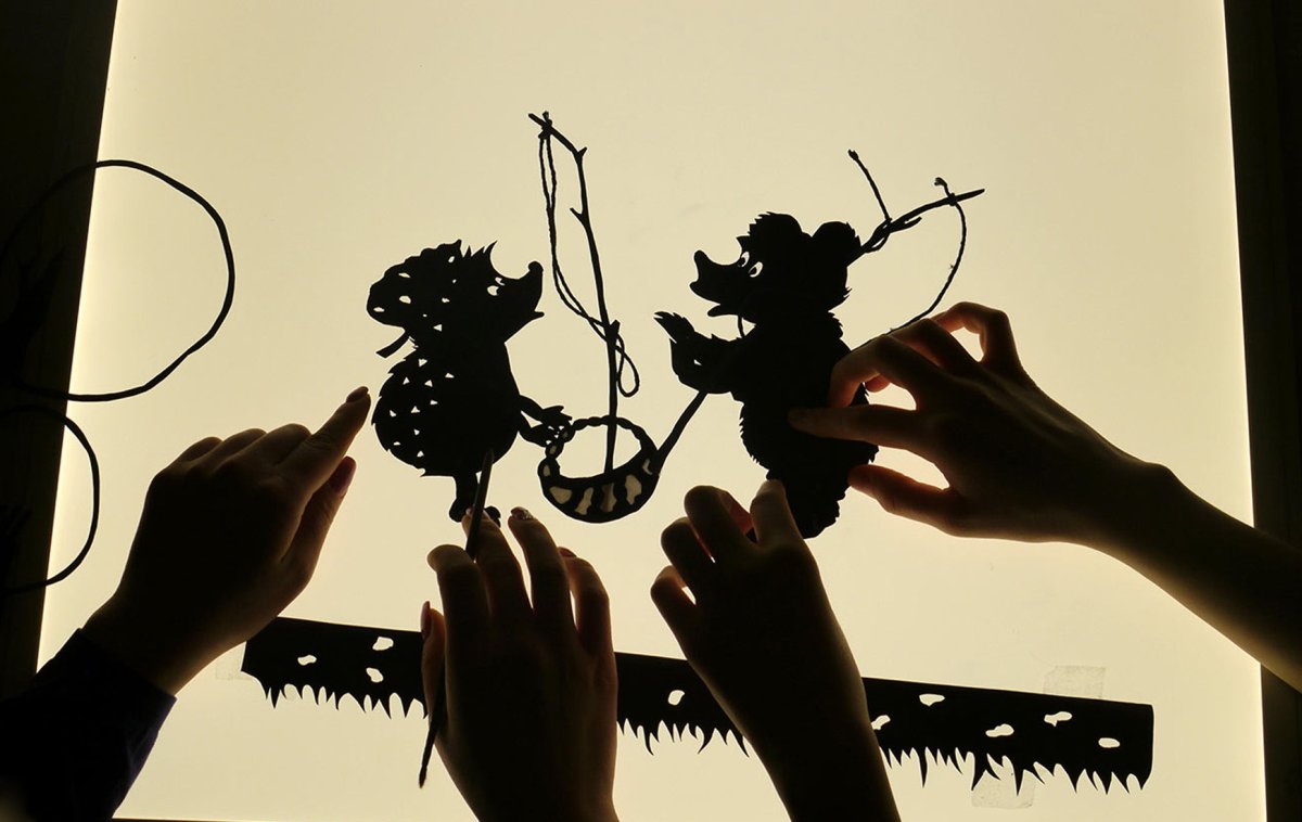 Теневая мультипликация