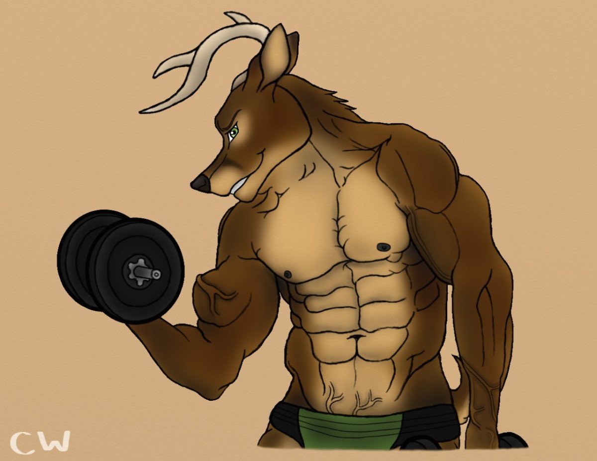 Фурри качки