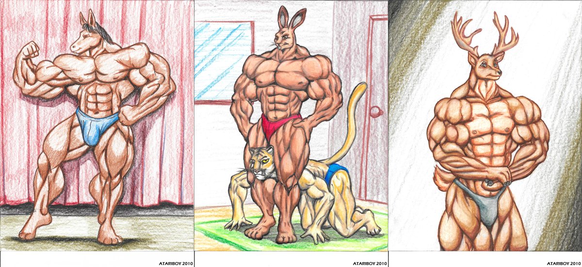 Фурри качки рост мышц комикс