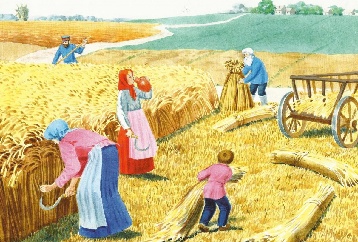 Сбор урожая картинки для детей